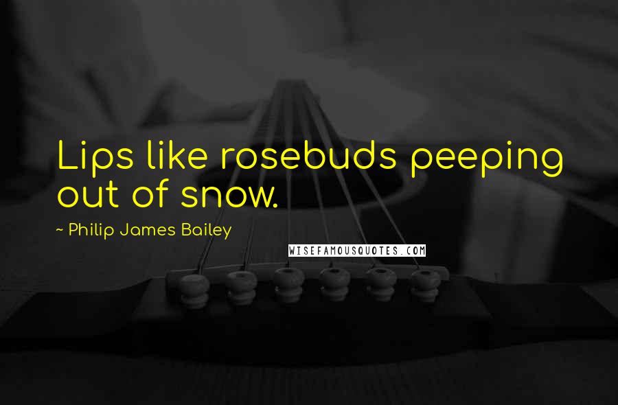Philip James Bailey Quotes: Lips like rosebuds peeping out of snow.