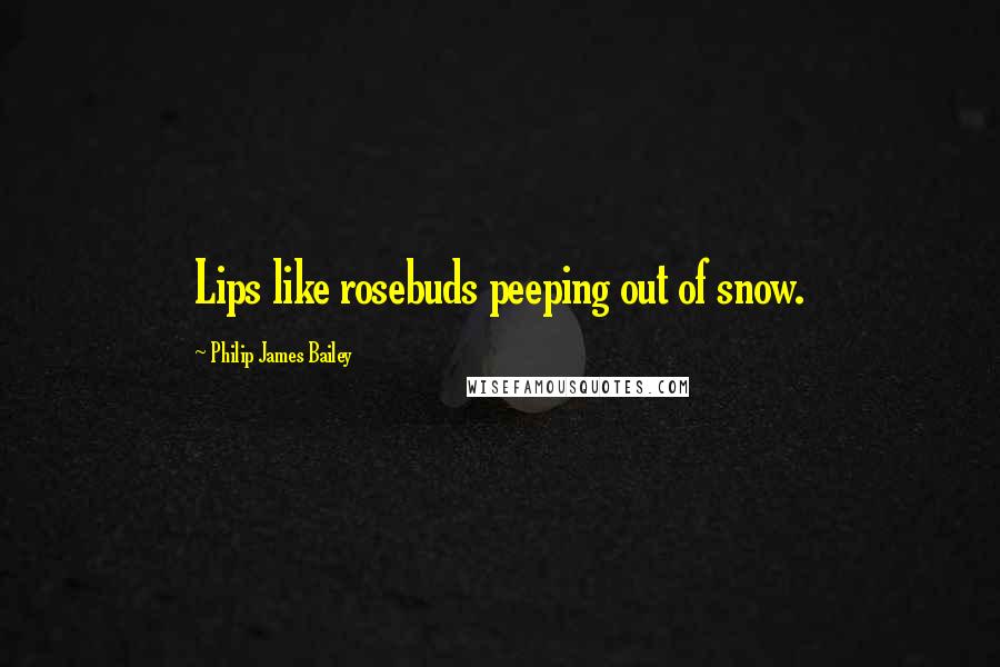 Philip James Bailey Quotes: Lips like rosebuds peeping out of snow.