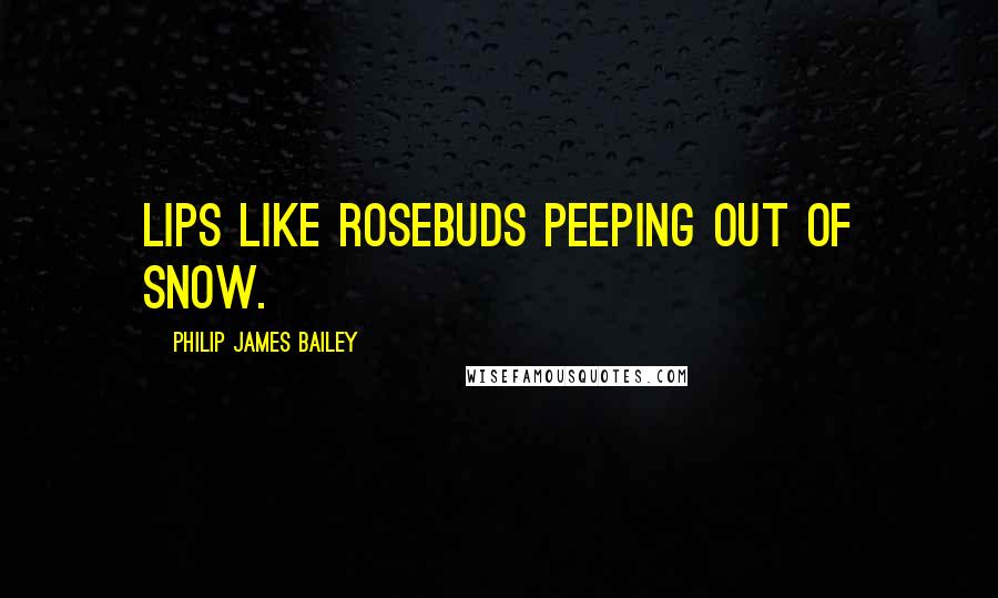 Philip James Bailey Quotes: Lips like rosebuds peeping out of snow.
