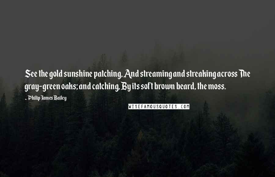 Philip James Bailey Quotes: See the gold sunshine patching, And streaming and streaking across The gray-green oaks; and catching, By its soft brown beard, the moss.