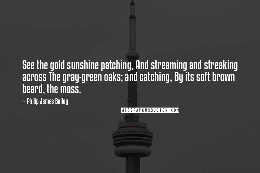 Philip James Bailey Quotes: See the gold sunshine patching, And streaming and streaking across The gray-green oaks; and catching, By its soft brown beard, the moss.