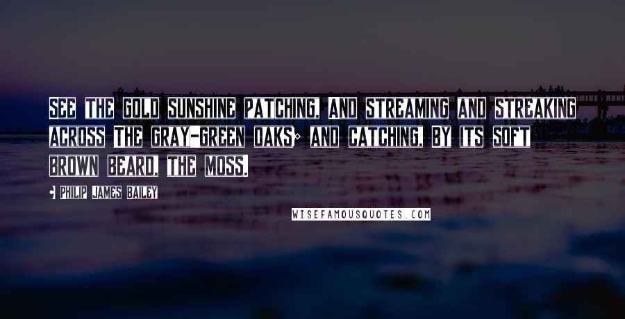 Philip James Bailey Quotes: See the gold sunshine patching, And streaming and streaking across The gray-green oaks; and catching, By its soft brown beard, the moss.