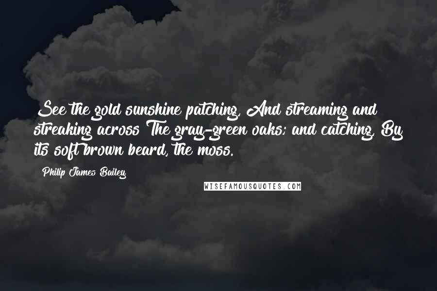 Philip James Bailey Quotes: See the gold sunshine patching, And streaming and streaking across The gray-green oaks; and catching, By its soft brown beard, the moss.