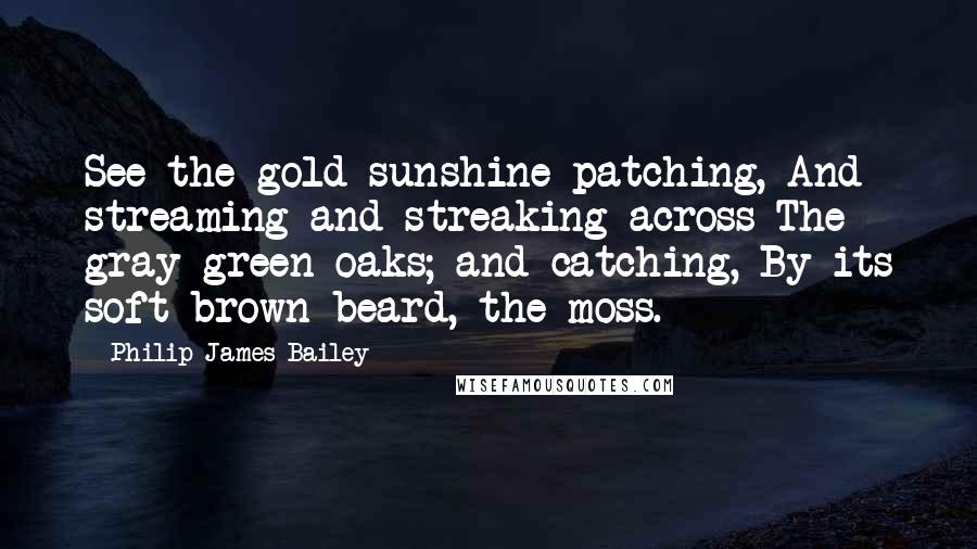 Philip James Bailey Quotes: See the gold sunshine patching, And streaming and streaking across The gray-green oaks; and catching, By its soft brown beard, the moss.