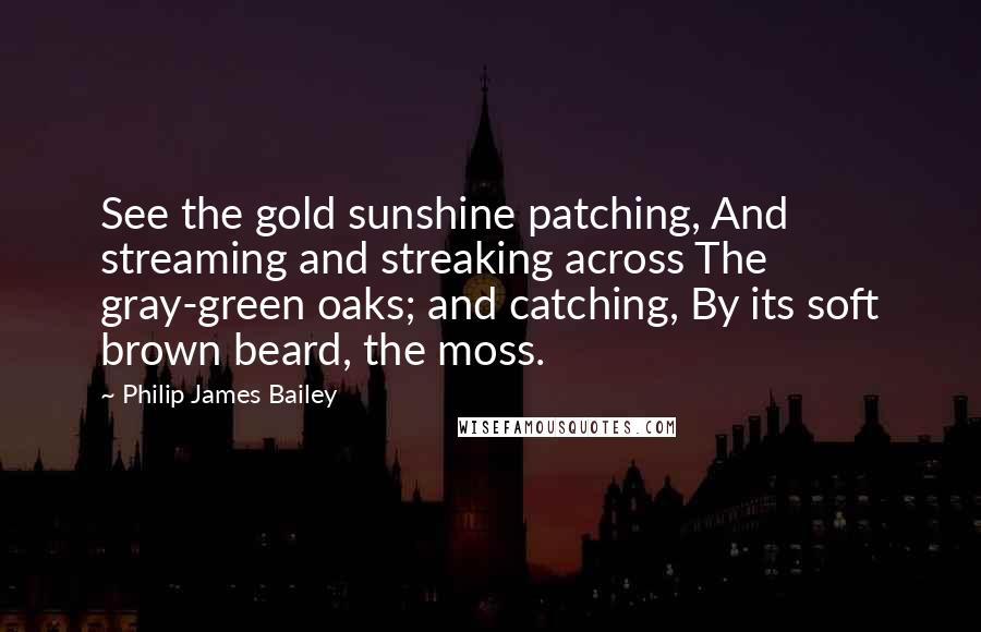 Philip James Bailey Quotes: See the gold sunshine patching, And streaming and streaking across The gray-green oaks; and catching, By its soft brown beard, the moss.