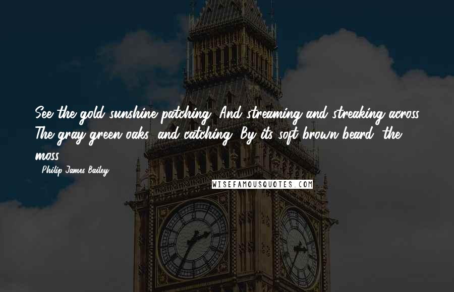 Philip James Bailey Quotes: See the gold sunshine patching, And streaming and streaking across The gray-green oaks; and catching, By its soft brown beard, the moss.