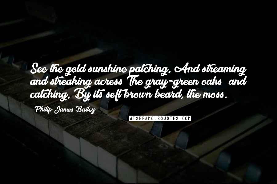 Philip James Bailey Quotes: See the gold sunshine patching, And streaming and streaking across The gray-green oaks; and catching, By its soft brown beard, the moss.