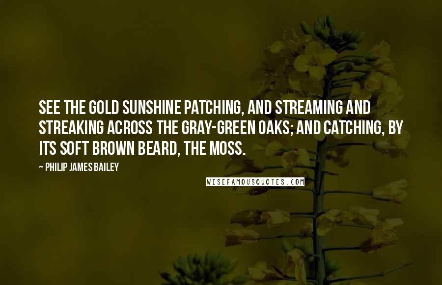 Philip James Bailey Quotes: See the gold sunshine patching, And streaming and streaking across The gray-green oaks; and catching, By its soft brown beard, the moss.