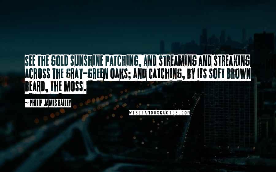 Philip James Bailey Quotes: See the gold sunshine patching, And streaming and streaking across The gray-green oaks; and catching, By its soft brown beard, the moss.