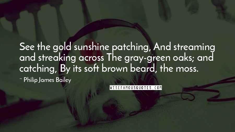 Philip James Bailey Quotes: See the gold sunshine patching, And streaming and streaking across The gray-green oaks; and catching, By its soft brown beard, the moss.