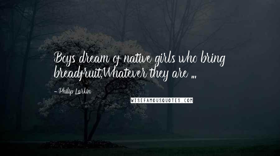 Philip Larkin Quotes: Boys dream of native girls who bring breadfruit,Whatever they are ...