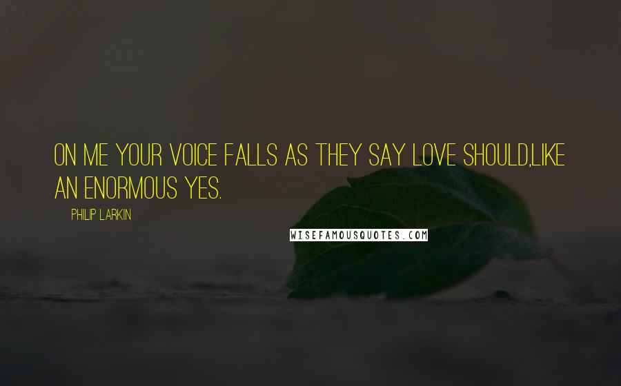 Philip Larkin Quotes: On me your voice falls as they say love should,Like an enormous yes.