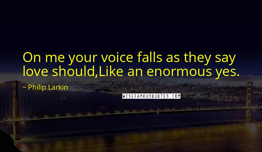 Philip Larkin Quotes: On me your voice falls as they say love should,Like an enormous yes.