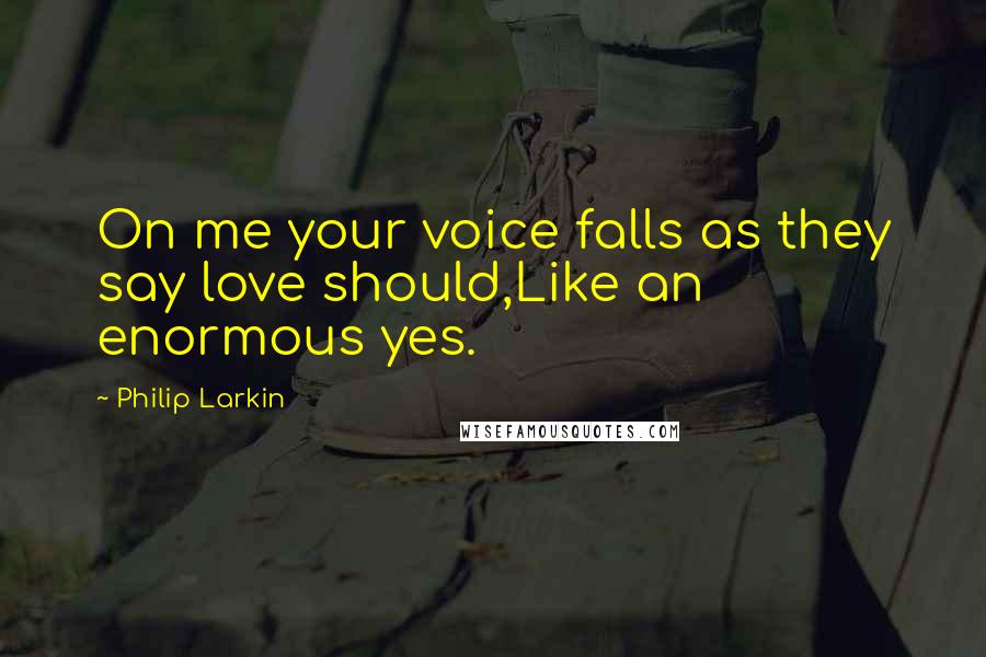 Philip Larkin Quotes: On me your voice falls as they say love should,Like an enormous yes.