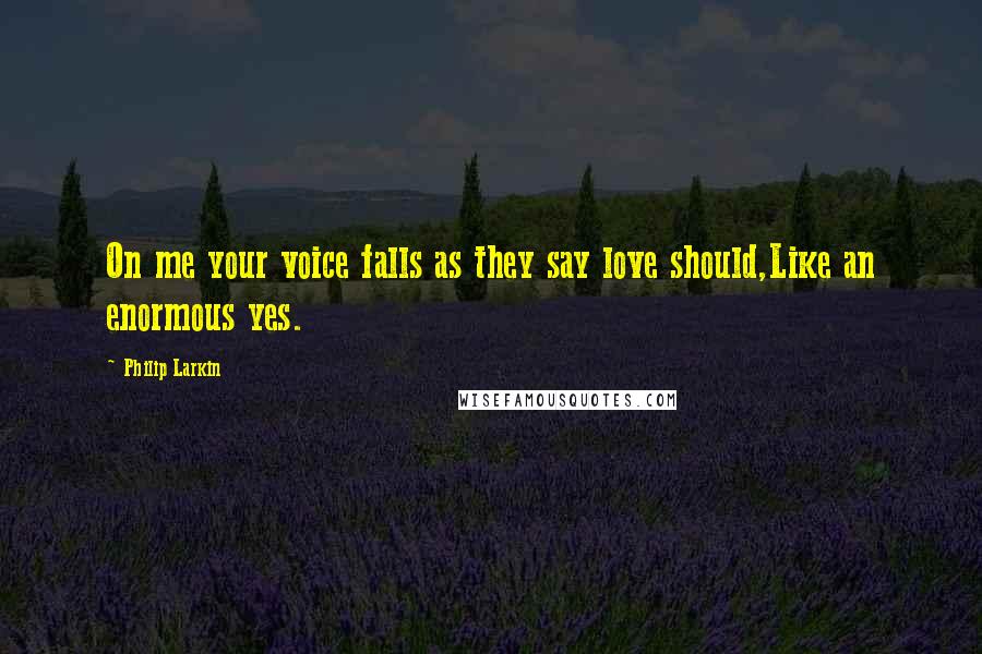 Philip Larkin Quotes: On me your voice falls as they say love should,Like an enormous yes.