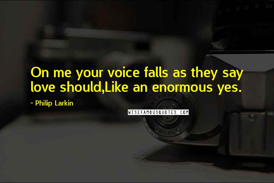 Philip Larkin Quotes: On me your voice falls as they say love should,Like an enormous yes.