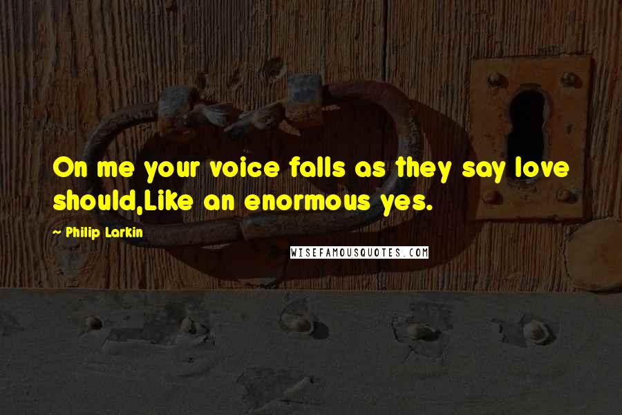 Philip Larkin Quotes: On me your voice falls as they say love should,Like an enormous yes.