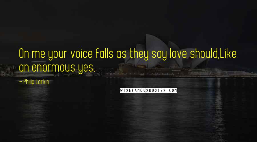 Philip Larkin Quotes: On me your voice falls as they say love should,Like an enormous yes.