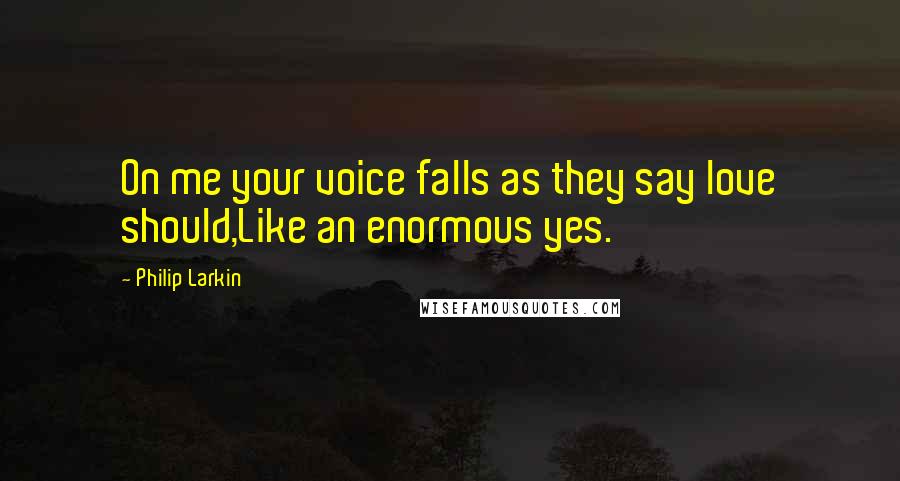 Philip Larkin Quotes: On me your voice falls as they say love should,Like an enormous yes.