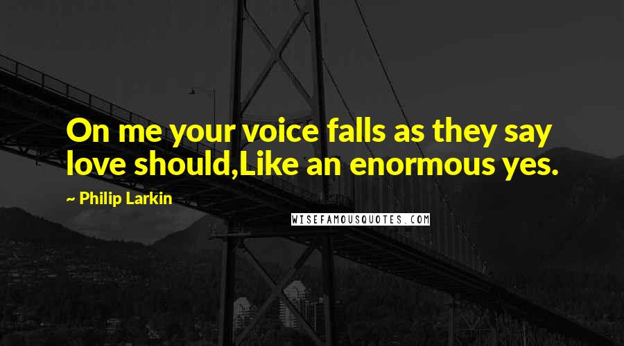 Philip Larkin Quotes: On me your voice falls as they say love should,Like an enormous yes.