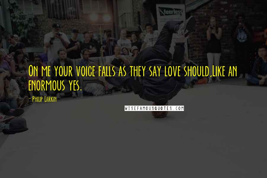 Philip Larkin Quotes: On me your voice falls as they say love should,Like an enormous yes.