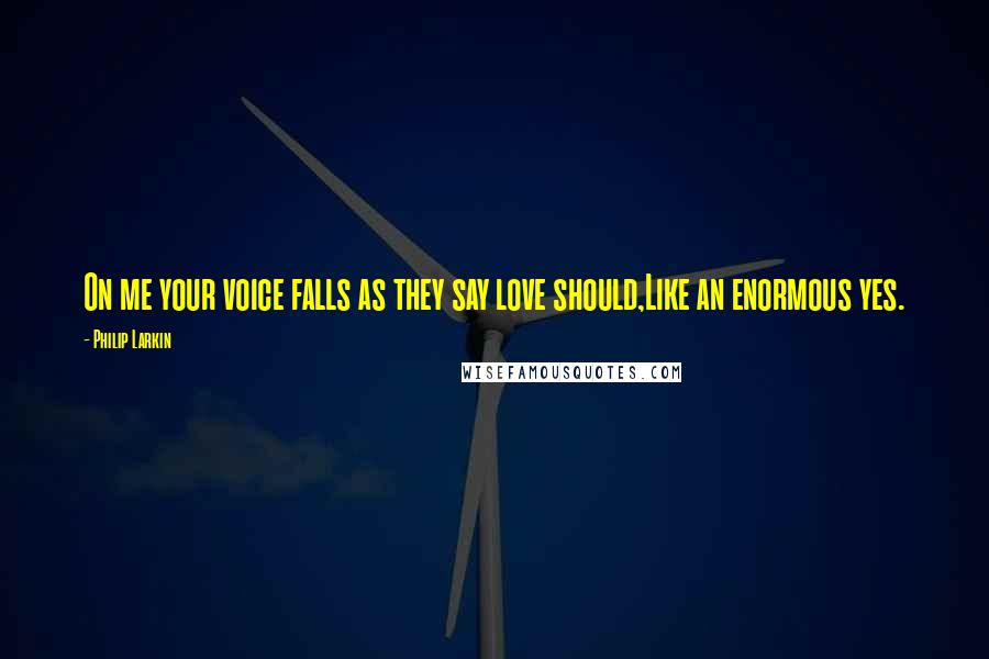 Philip Larkin Quotes: On me your voice falls as they say love should,Like an enormous yes.