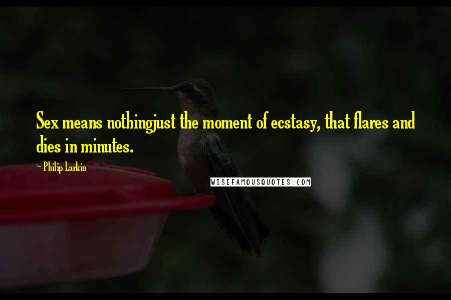 Philip Larkin Quotes: Sex means nothingjust the moment of ecstasy, that flares and dies in minutes.