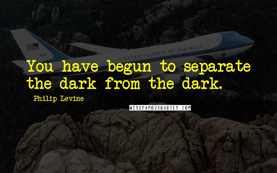 Philip Levine Quotes: You have begun to separate the dark from the dark.