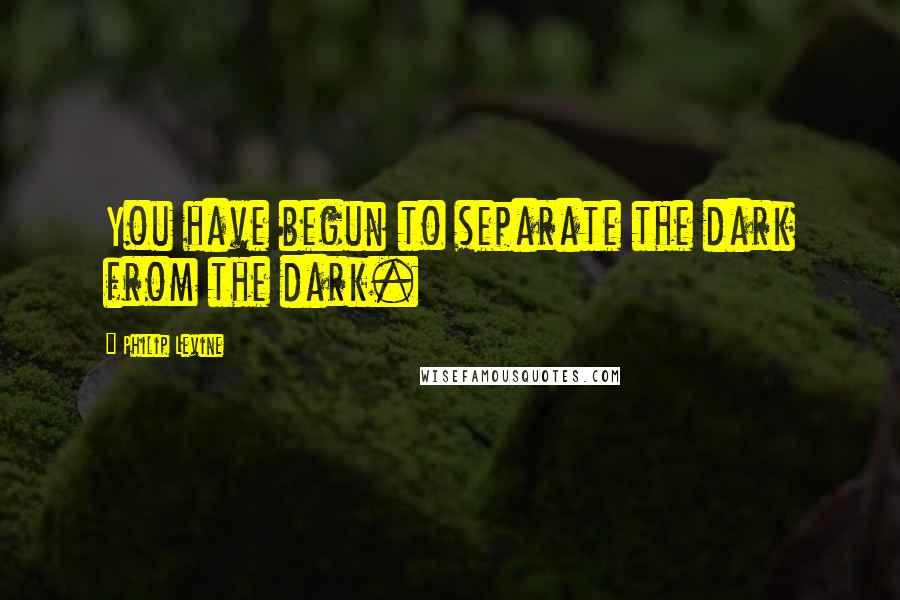 Philip Levine Quotes: You have begun to separate the dark from the dark.