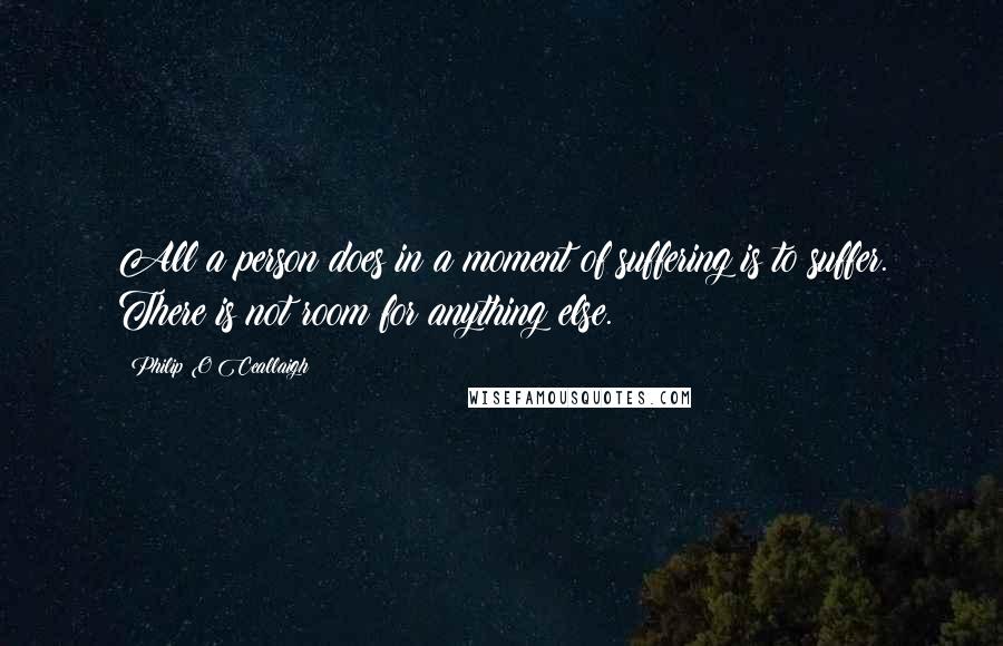 Philip O Ceallaigh Quotes: All a person does in a moment of suffering is to suffer. There is not room for anything else.