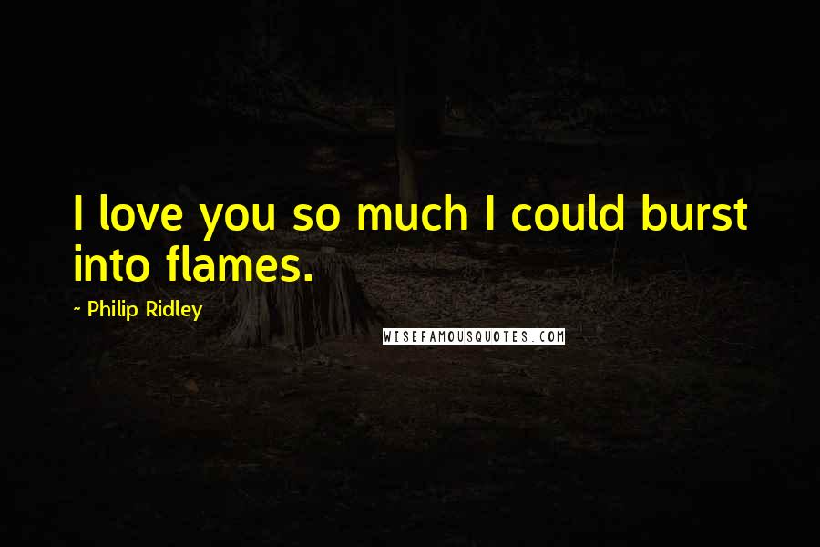 Philip Ridley Quotes: I love you so much I could burst into flames.