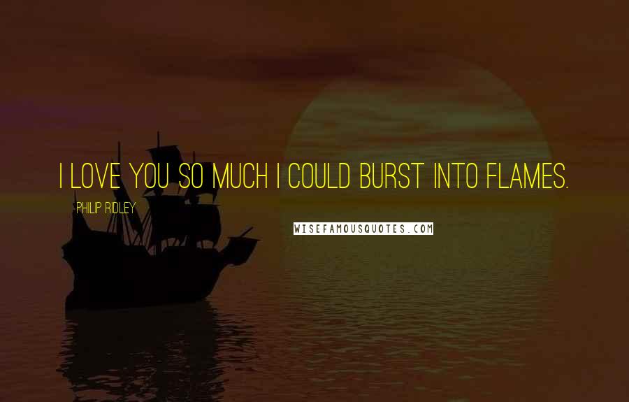 Philip Ridley Quotes: I love you so much I could burst into flames.