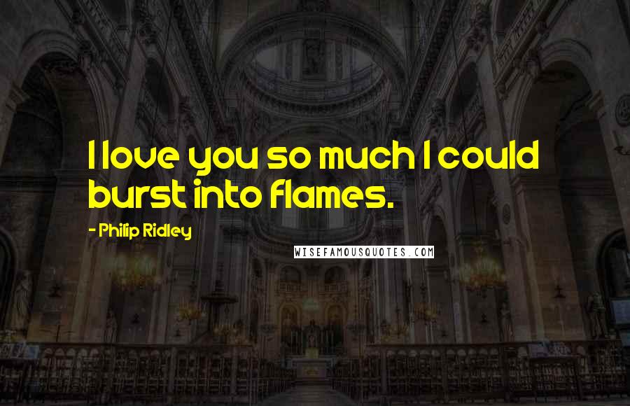 Philip Ridley Quotes: I love you so much I could burst into flames.