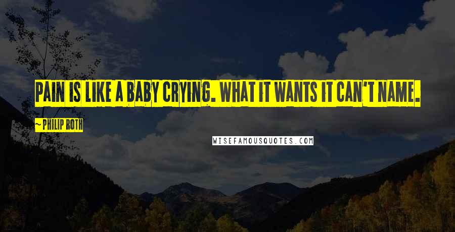 Philip Roth Quotes: Pain is like a baby crying. What it wants it can't name.