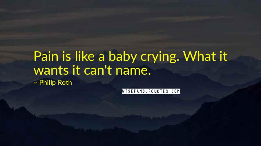 Philip Roth Quotes: Pain is like a baby crying. What it wants it can't name.