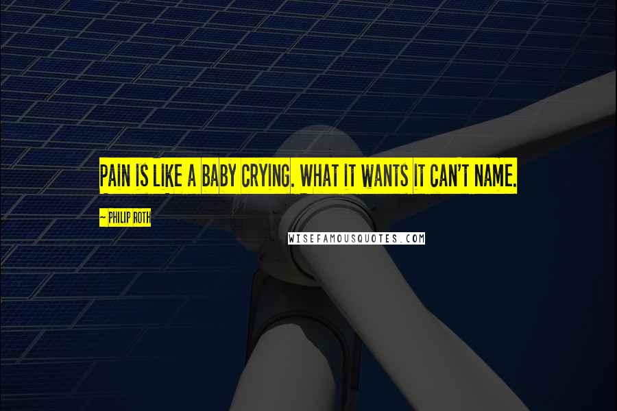 Philip Roth Quotes: Pain is like a baby crying. What it wants it can't name.