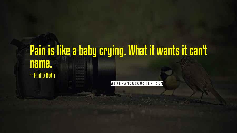 Philip Roth Quotes: Pain is like a baby crying. What it wants it can't name.