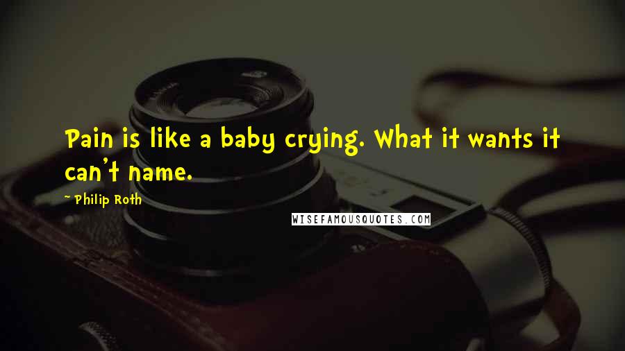 Philip Roth Quotes: Pain is like a baby crying. What it wants it can't name.