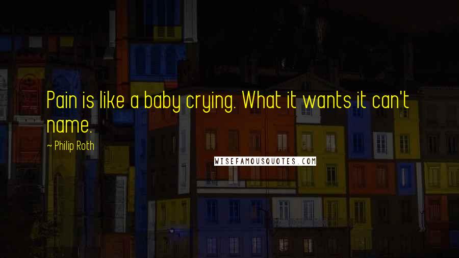 Philip Roth Quotes: Pain is like a baby crying. What it wants it can't name.