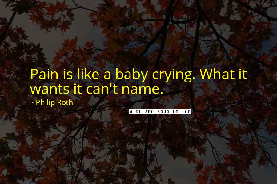 Philip Roth Quotes: Pain is like a baby crying. What it wants it can't name.