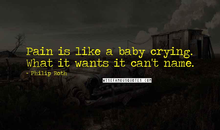Philip Roth Quotes: Pain is like a baby crying. What it wants it can't name.