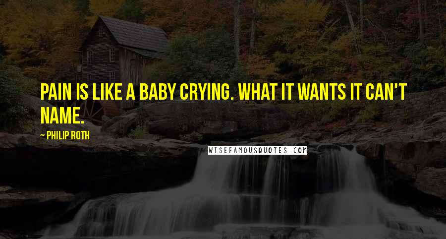 Philip Roth Quotes: Pain is like a baby crying. What it wants it can't name.