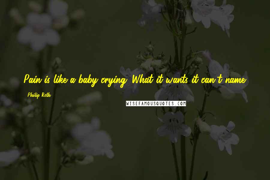 Philip Roth Quotes: Pain is like a baby crying. What it wants it can't name.