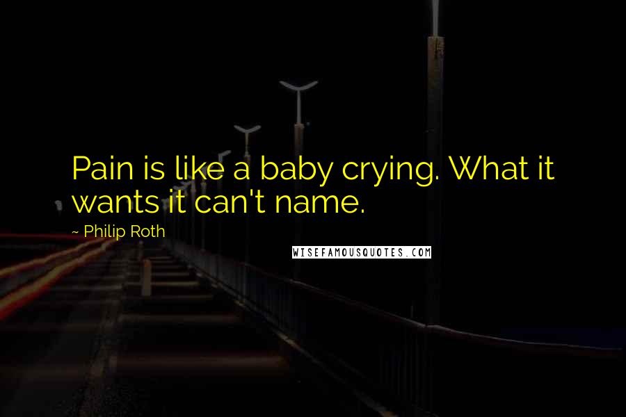 Philip Roth Quotes: Pain is like a baby crying. What it wants it can't name.