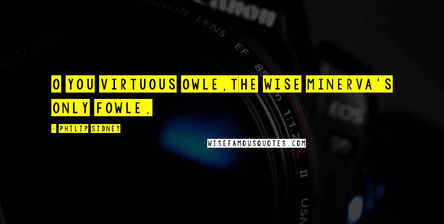 Philip Sidney Quotes: O you virtuous owle,The wise Minerva's only fowle.