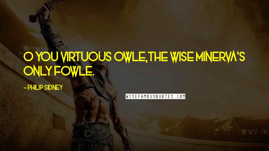 Philip Sidney Quotes: O you virtuous owle,The wise Minerva's only fowle.