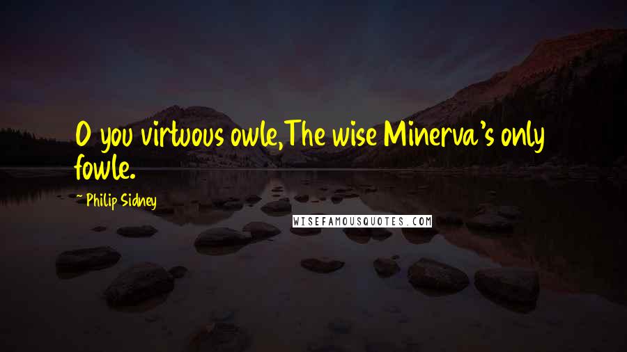 Philip Sidney Quotes: O you virtuous owle,The wise Minerva's only fowle.