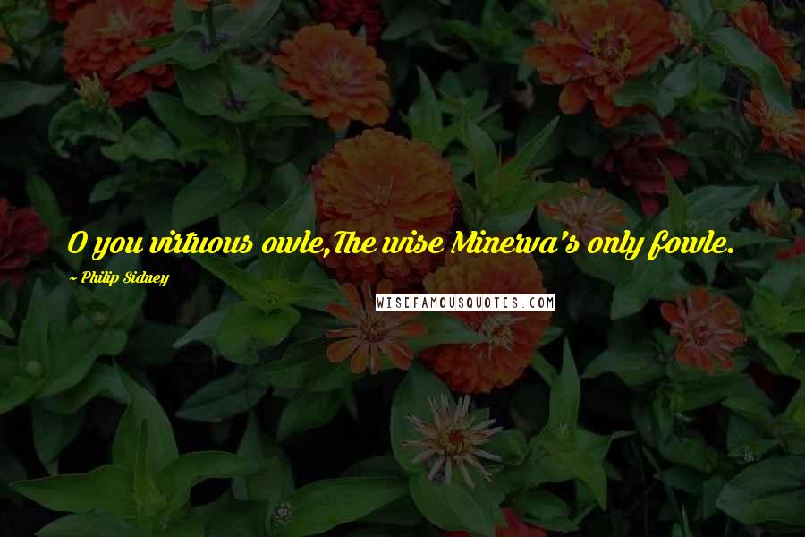 Philip Sidney Quotes: O you virtuous owle,The wise Minerva's only fowle.