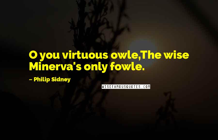 Philip Sidney Quotes: O you virtuous owle,The wise Minerva's only fowle.