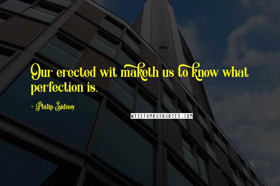 Philip Sidney Quotes: Our erected wit maketh us to know what perfection is.